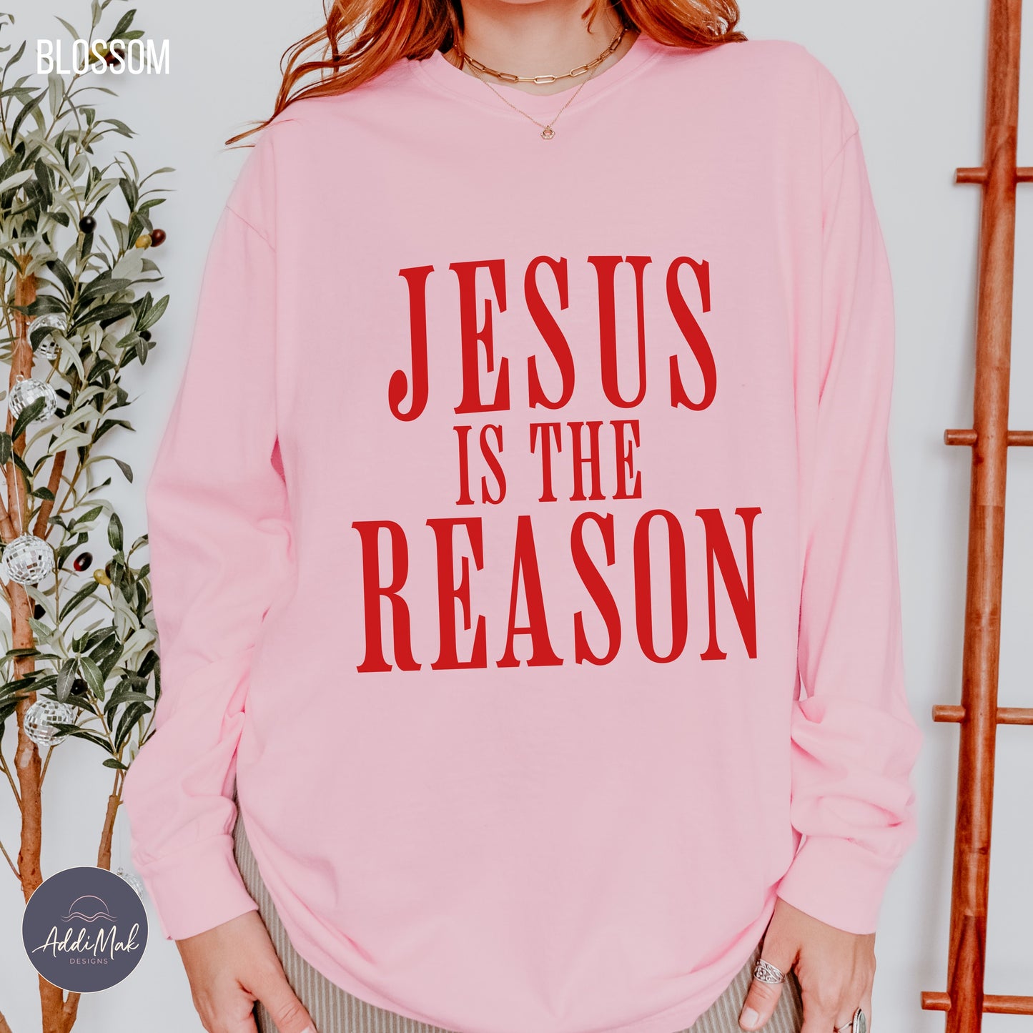 Jesus is the Reason Long Sleeve T-Shirt